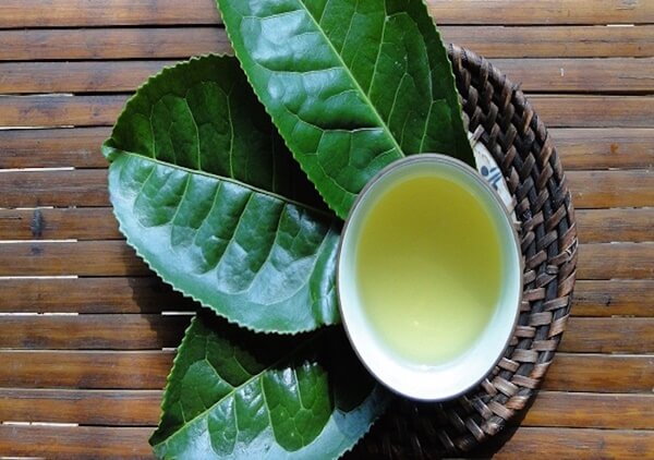 Xông mặt với lá trà xanh/ chè xanh giúp kháng khuẩn, ngừa mụn